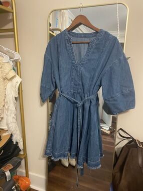 Amazon Denim Mini Dress in Blue